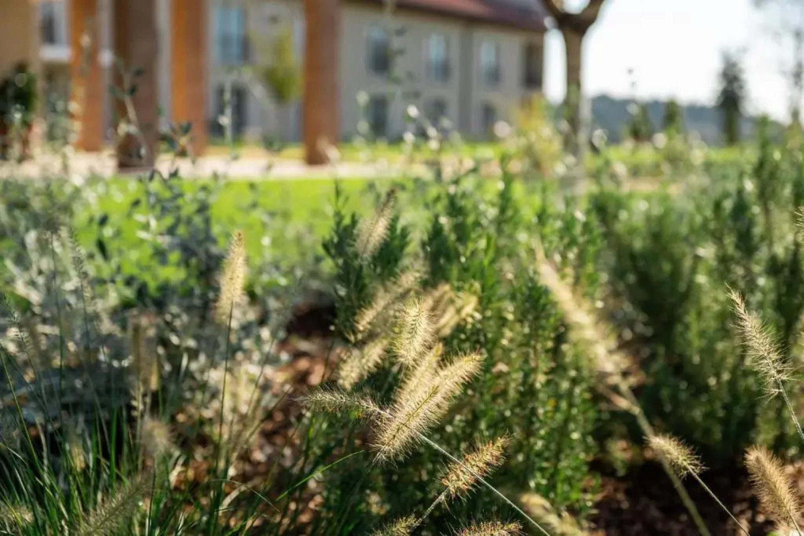 Agriturismo Maria Vittoria