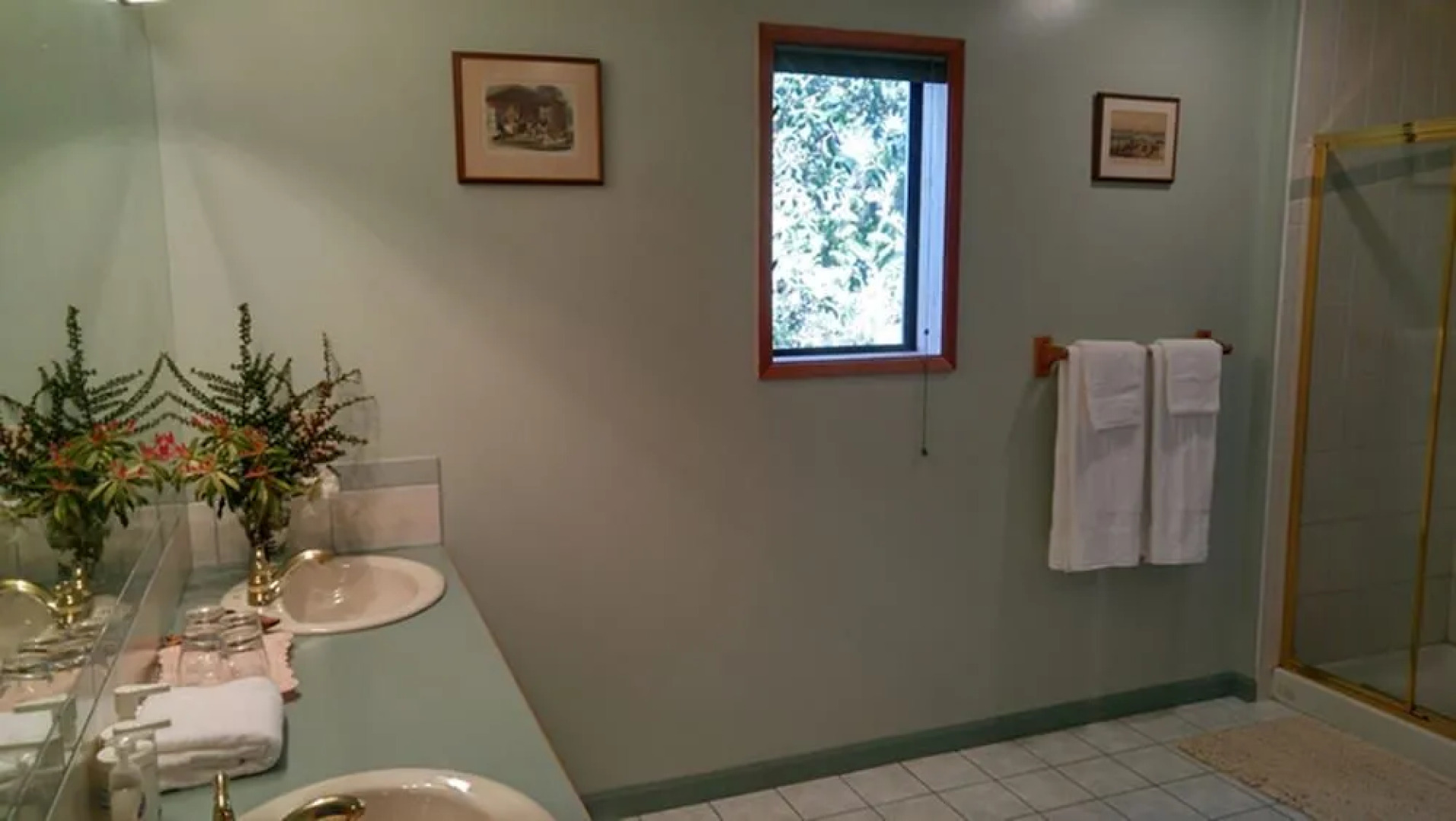 Sunshine Coast Treetop Wonderland