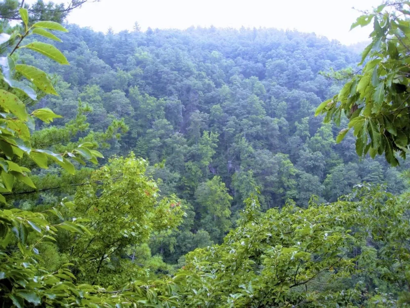 North Carolina Mountain Retreat