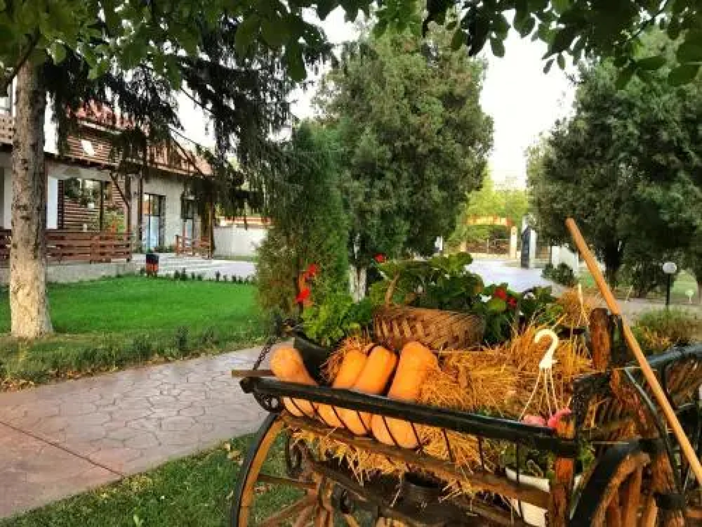 Casa Cu Nuc