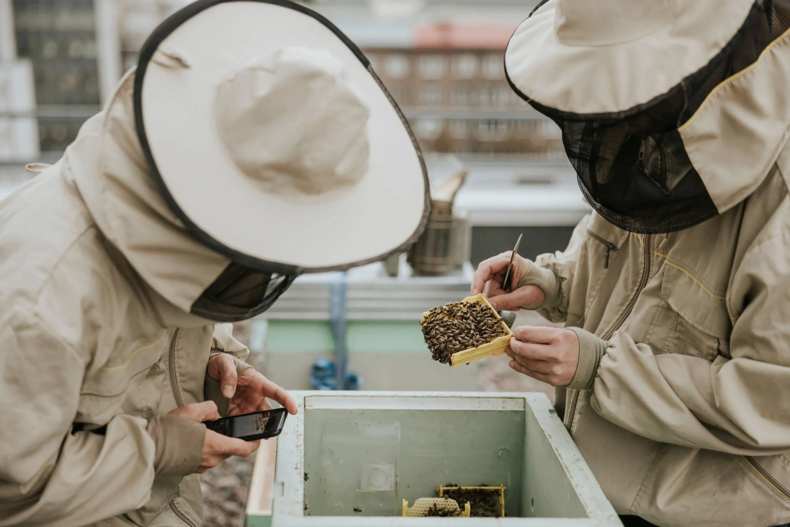 JW Marriott Crete Resort & Spa