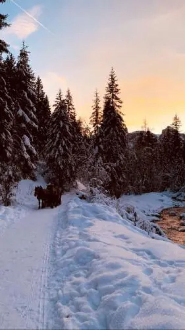 Nei Y Suredl NeveSole