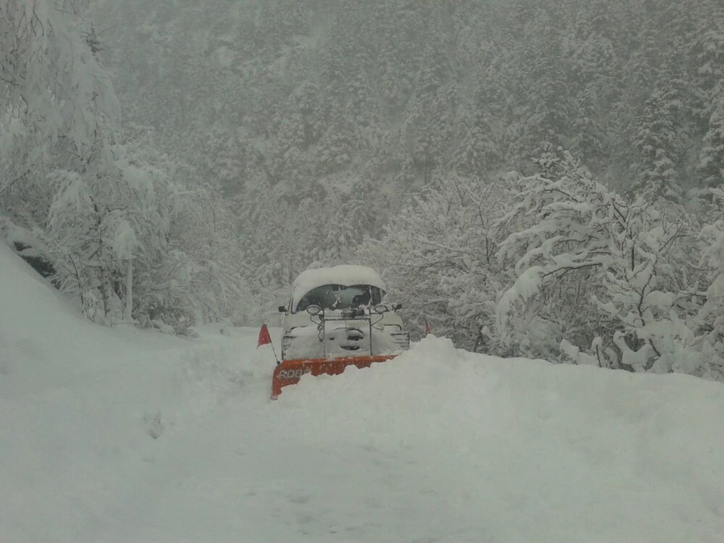 Hostel Refugi del Fornet