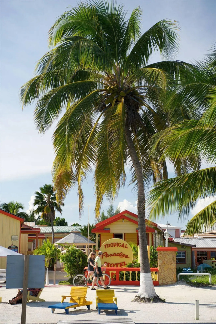 Tropical Paradise Hotel