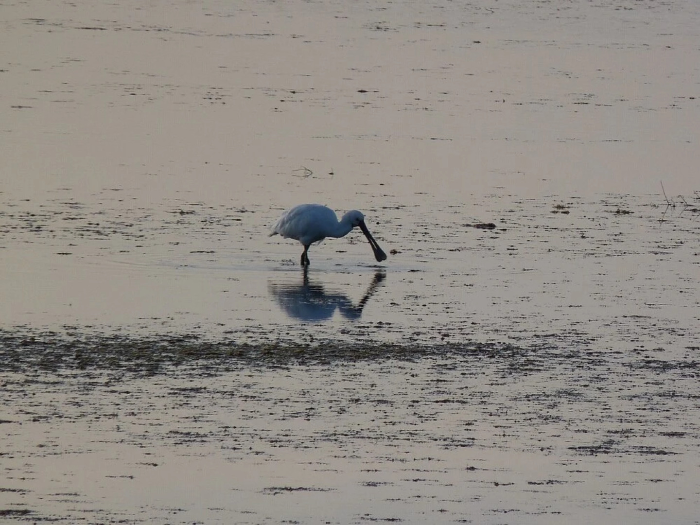 Chambre d'hôte chez Titi