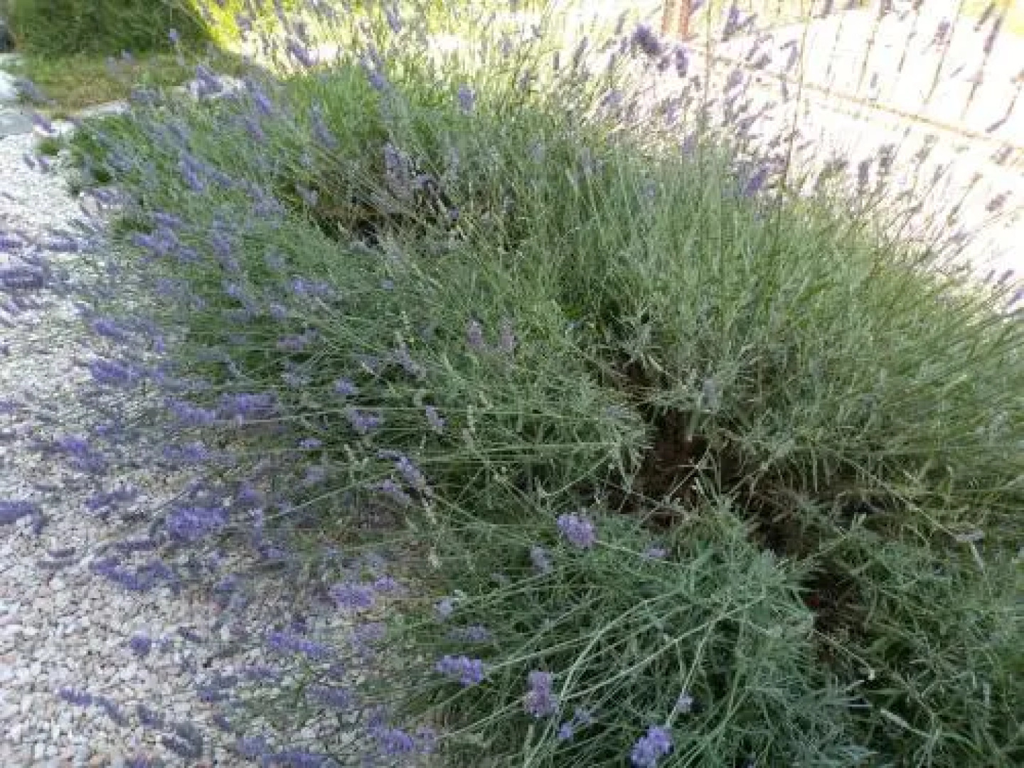 Bed and Breakfast Verdazzurro