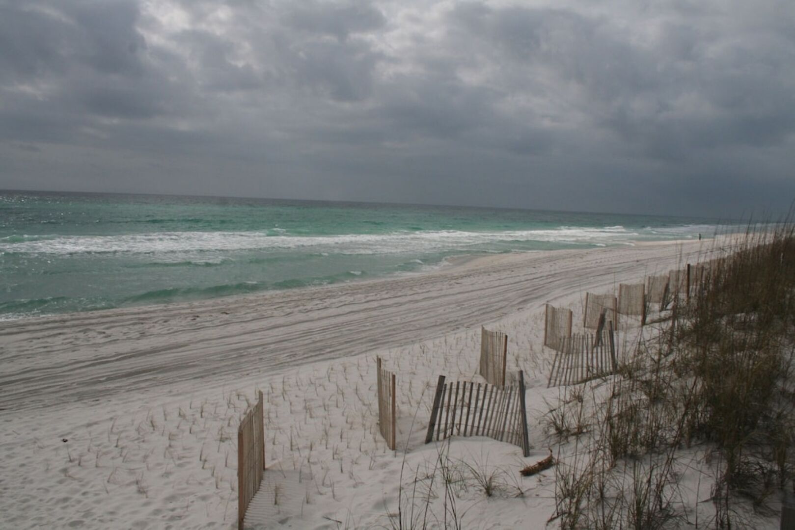 Sand Dollar by Surfside VR