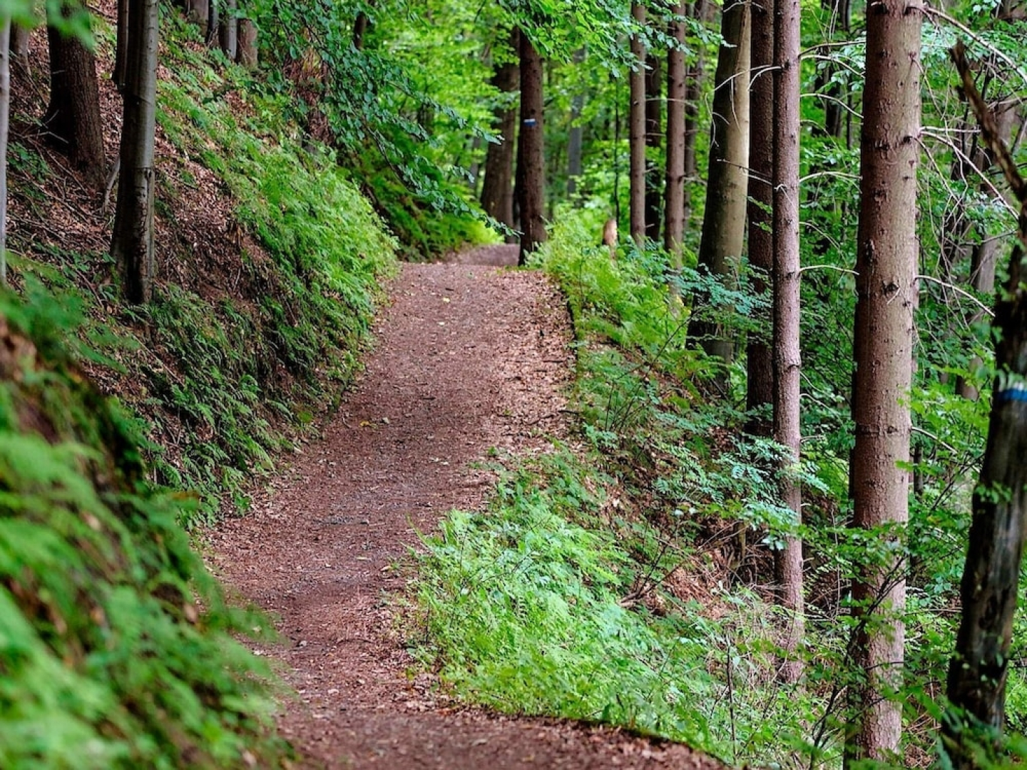 Holiday Home in SÃ¤len