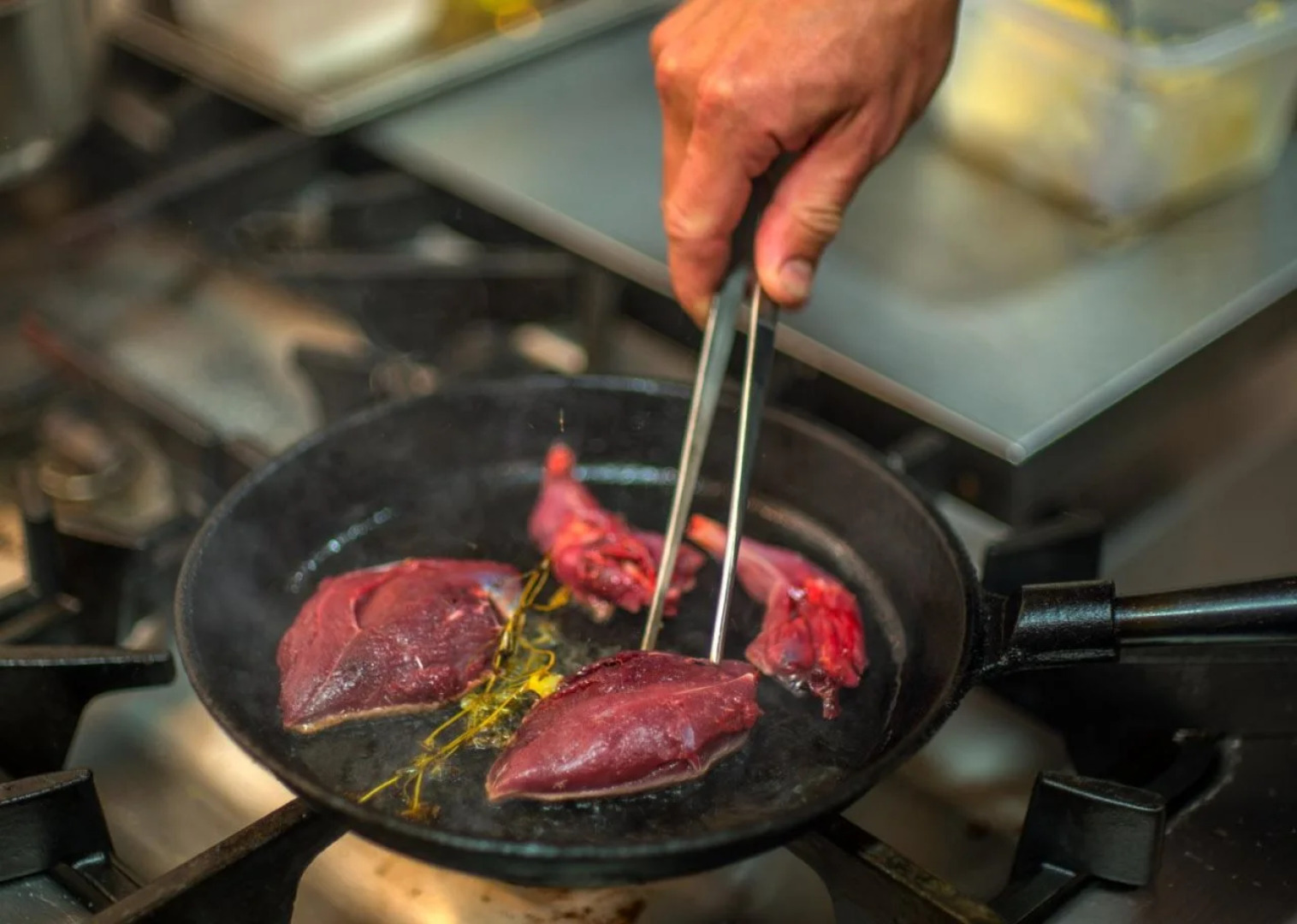 Star Arctic Hotel & Activities