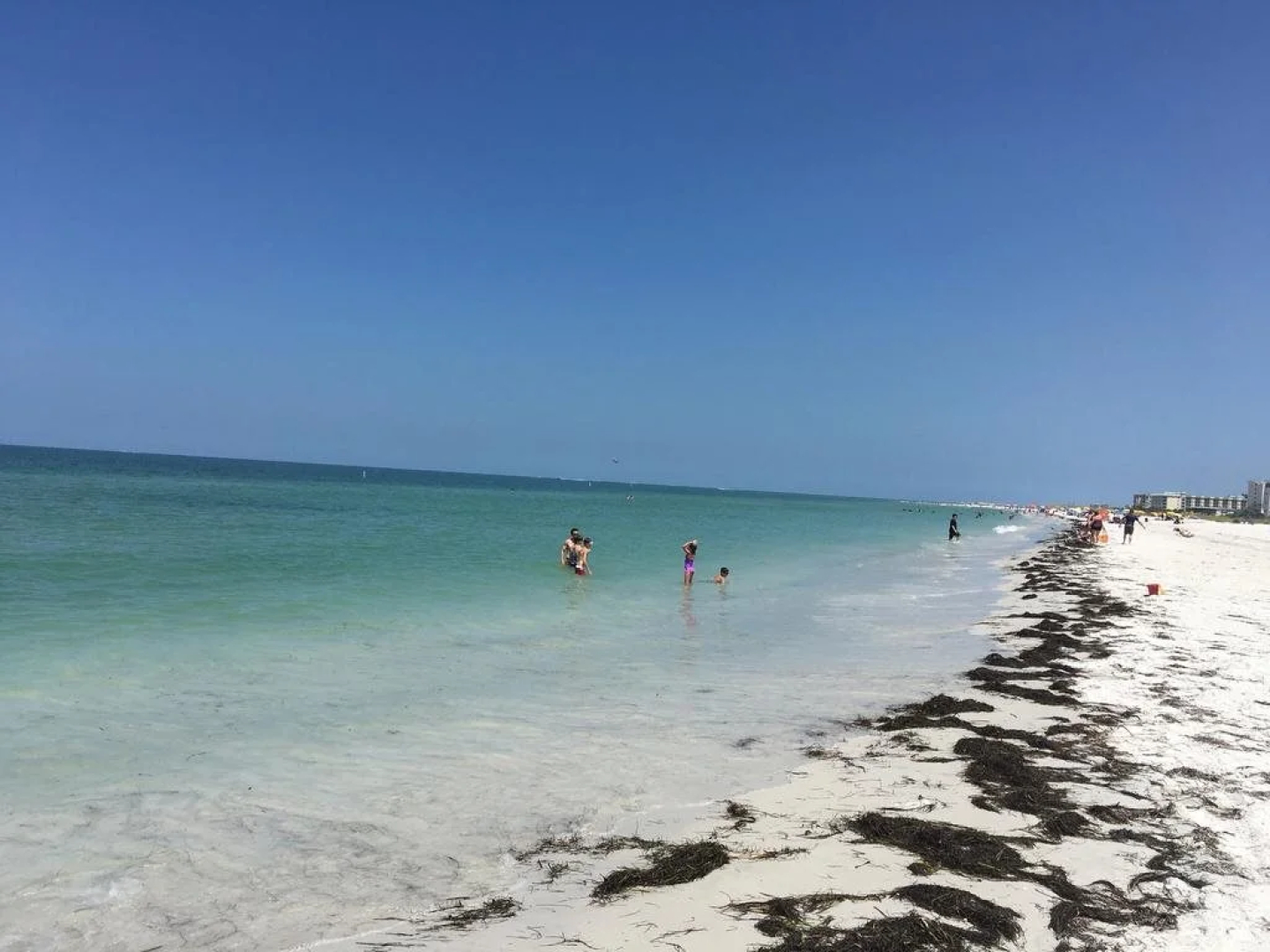 The Beachcomber