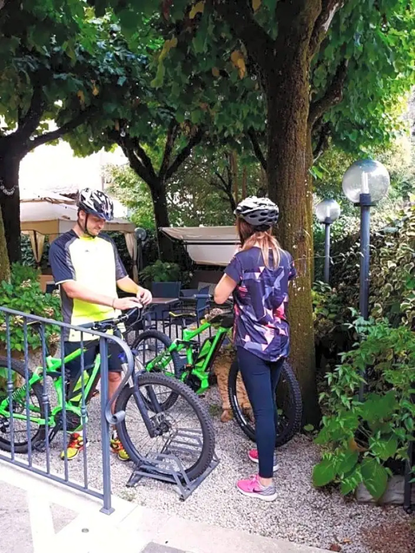 Hotel Delle Ortensie