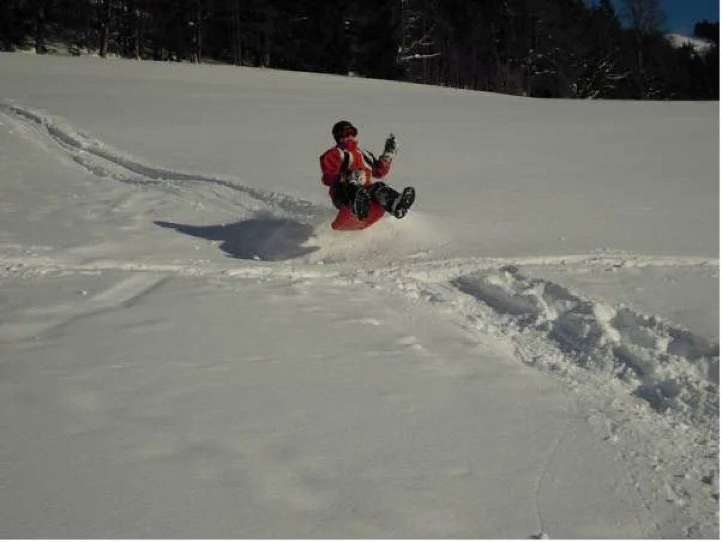 Ferienhaus Höchhäusl