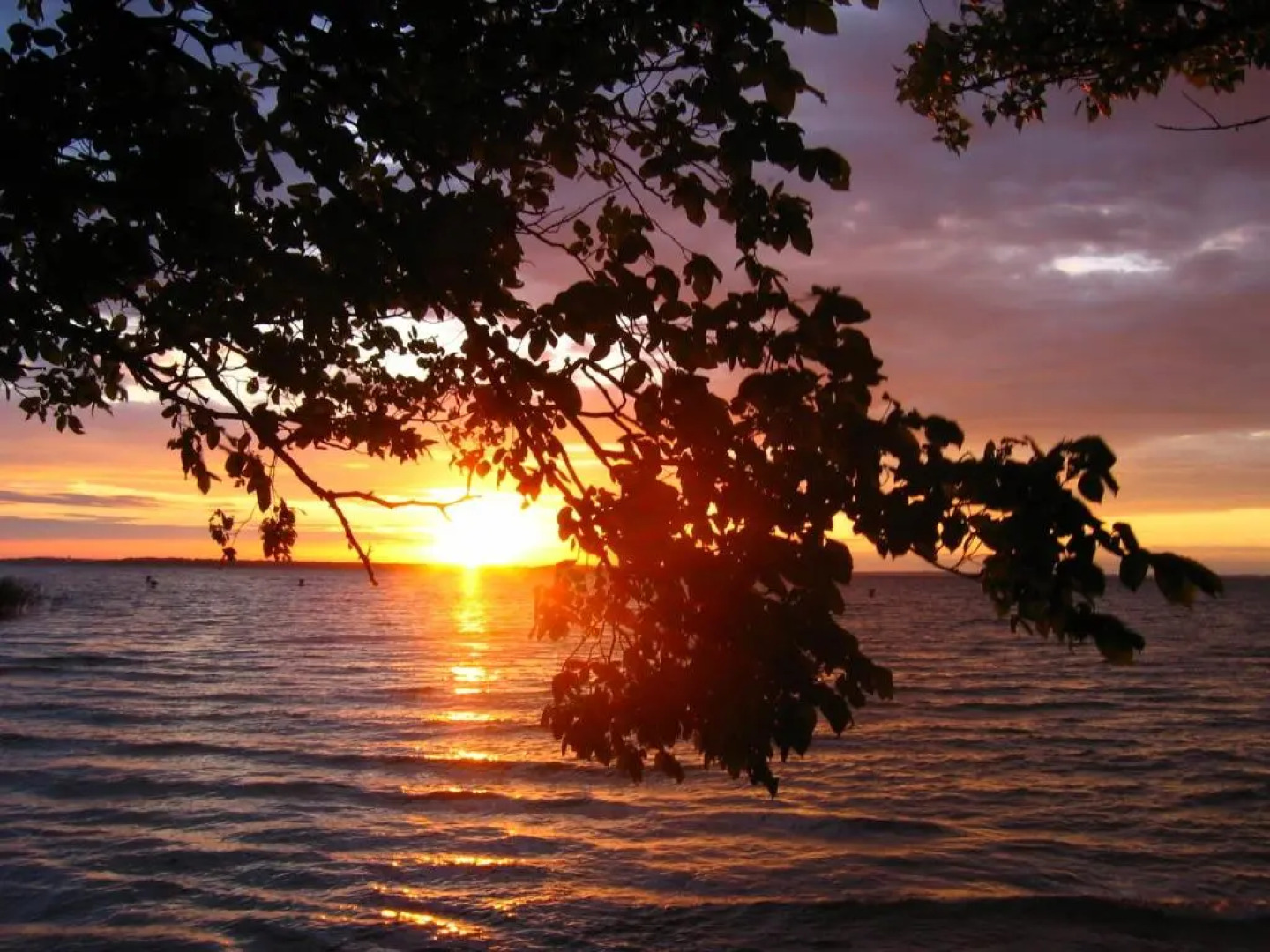 Feriendorf Boeker Mühle