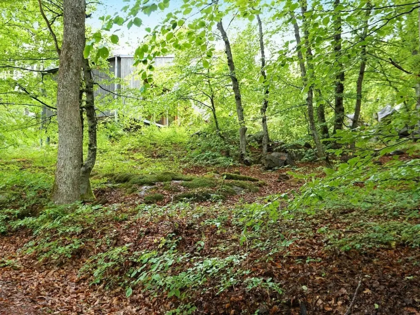 Holiday Home in Kode