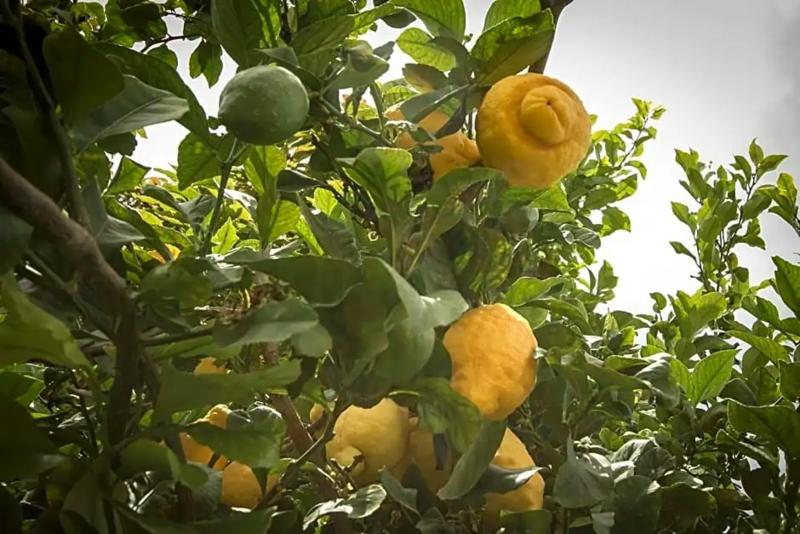 Sa Fita Backpackers - Albergue Juvenil