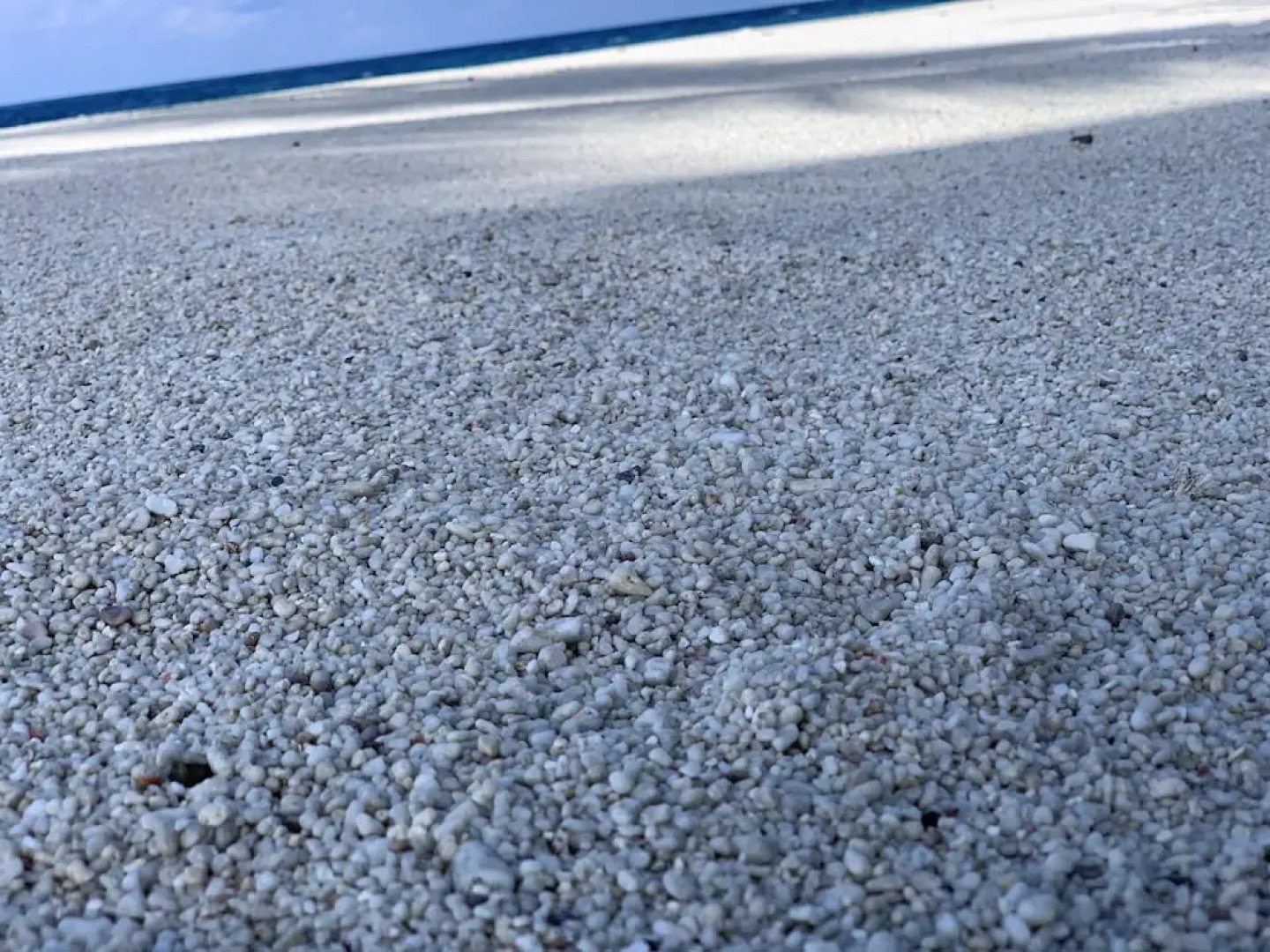 Endhaa Happiest Place on Earth