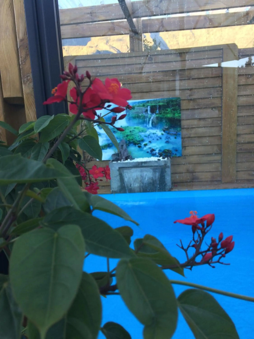 Ti Fleur aimée à Cilaos