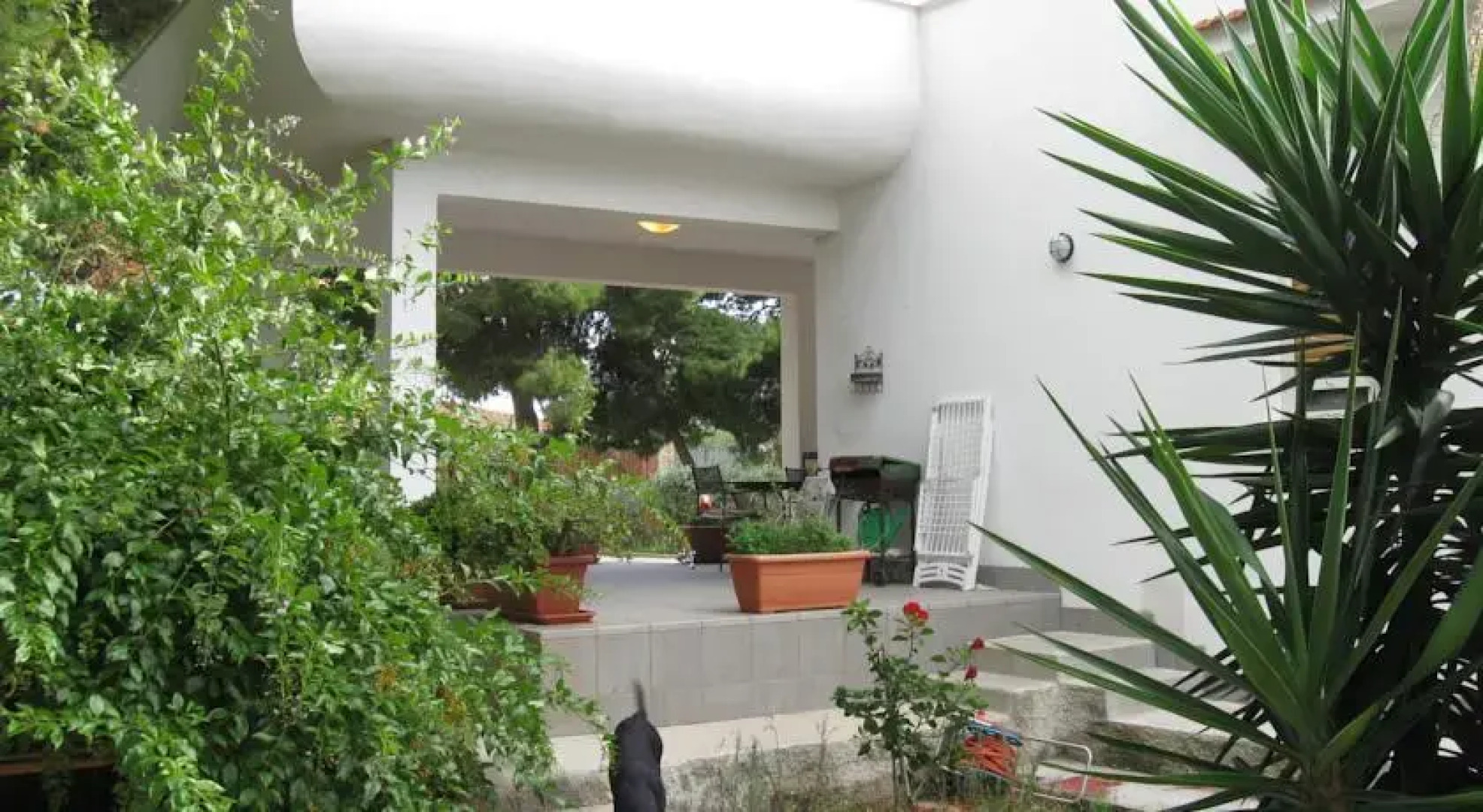 Casa Vacanze Siino Delle Rose