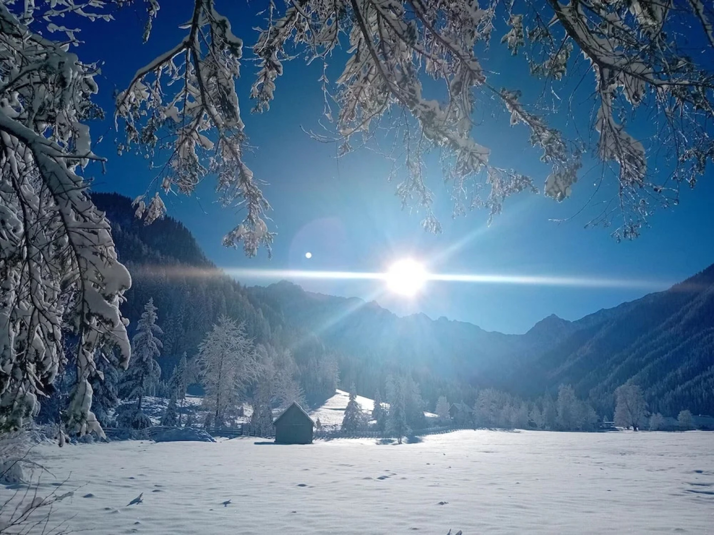 Secluded Apartment in Ferlach near Bodental Ski Lift