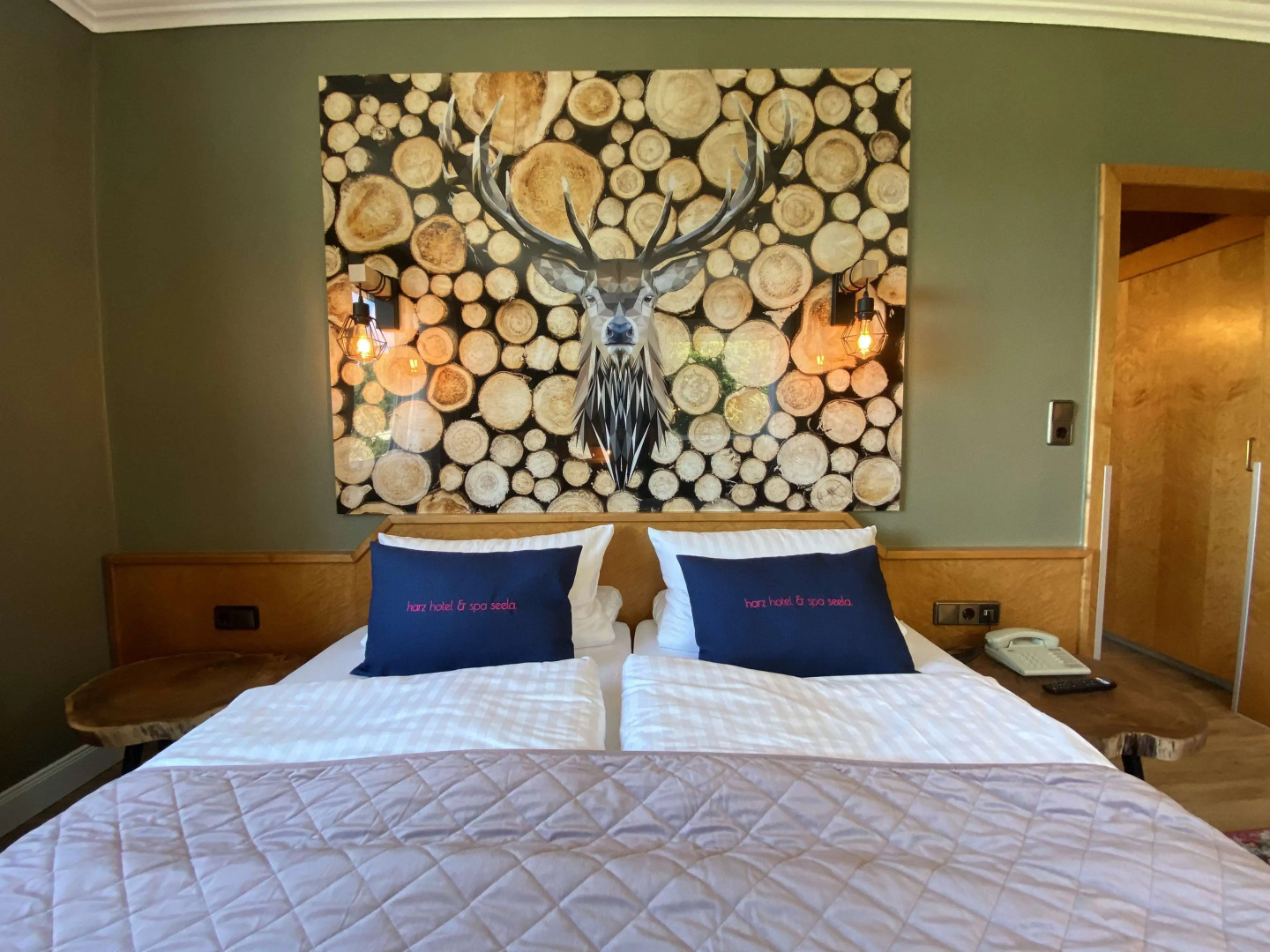 Harz Hotel & Spa Seela