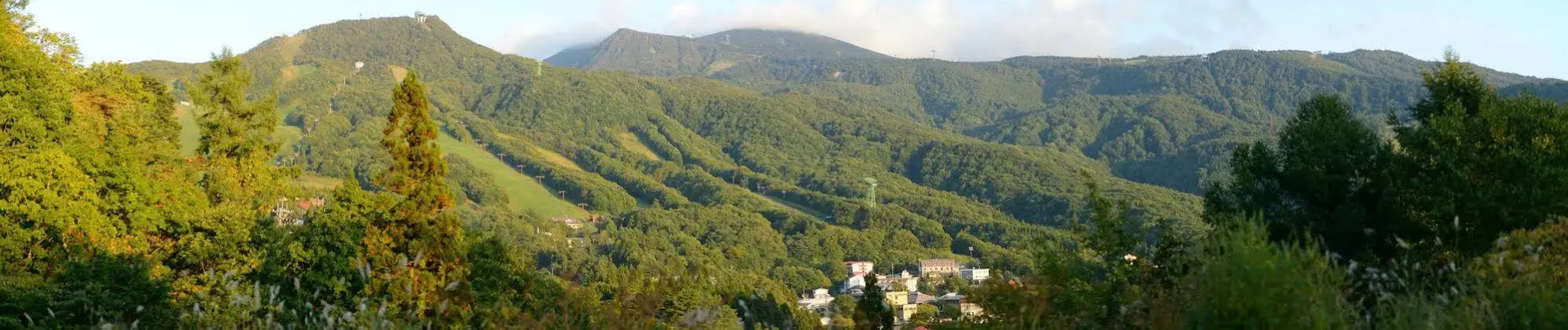 Wakamatsuya