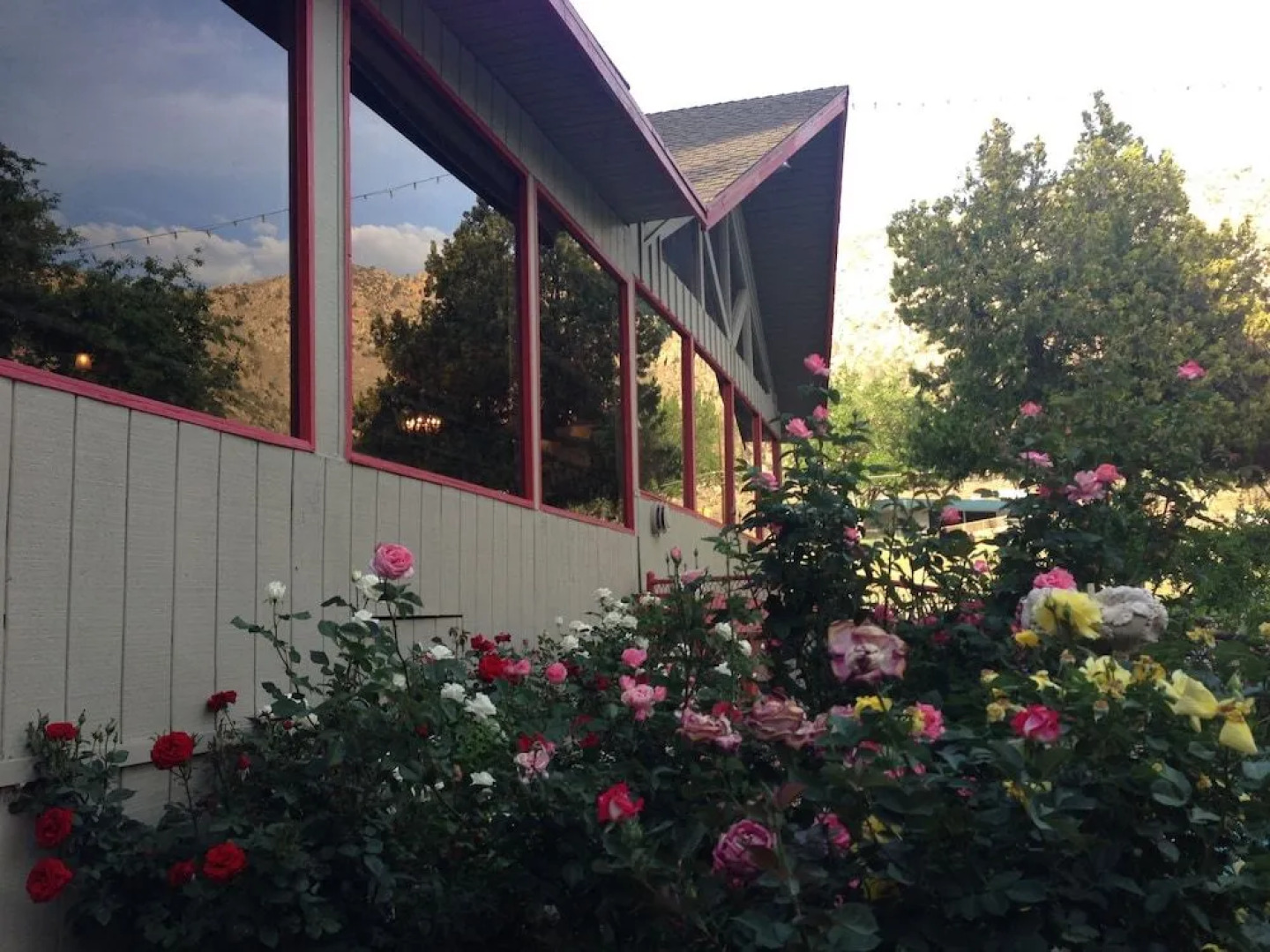 Piazza's Pine Cone Inn