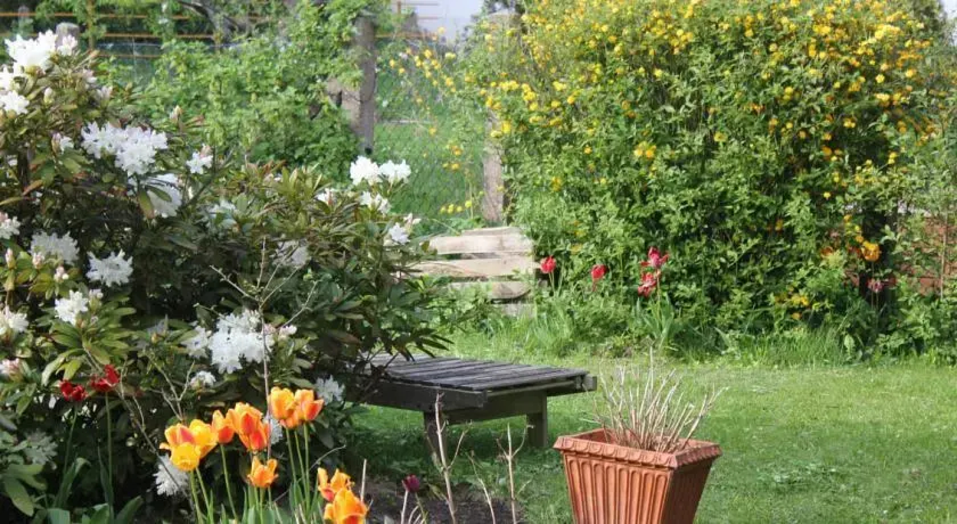 Bonifatia Neu-Anspach