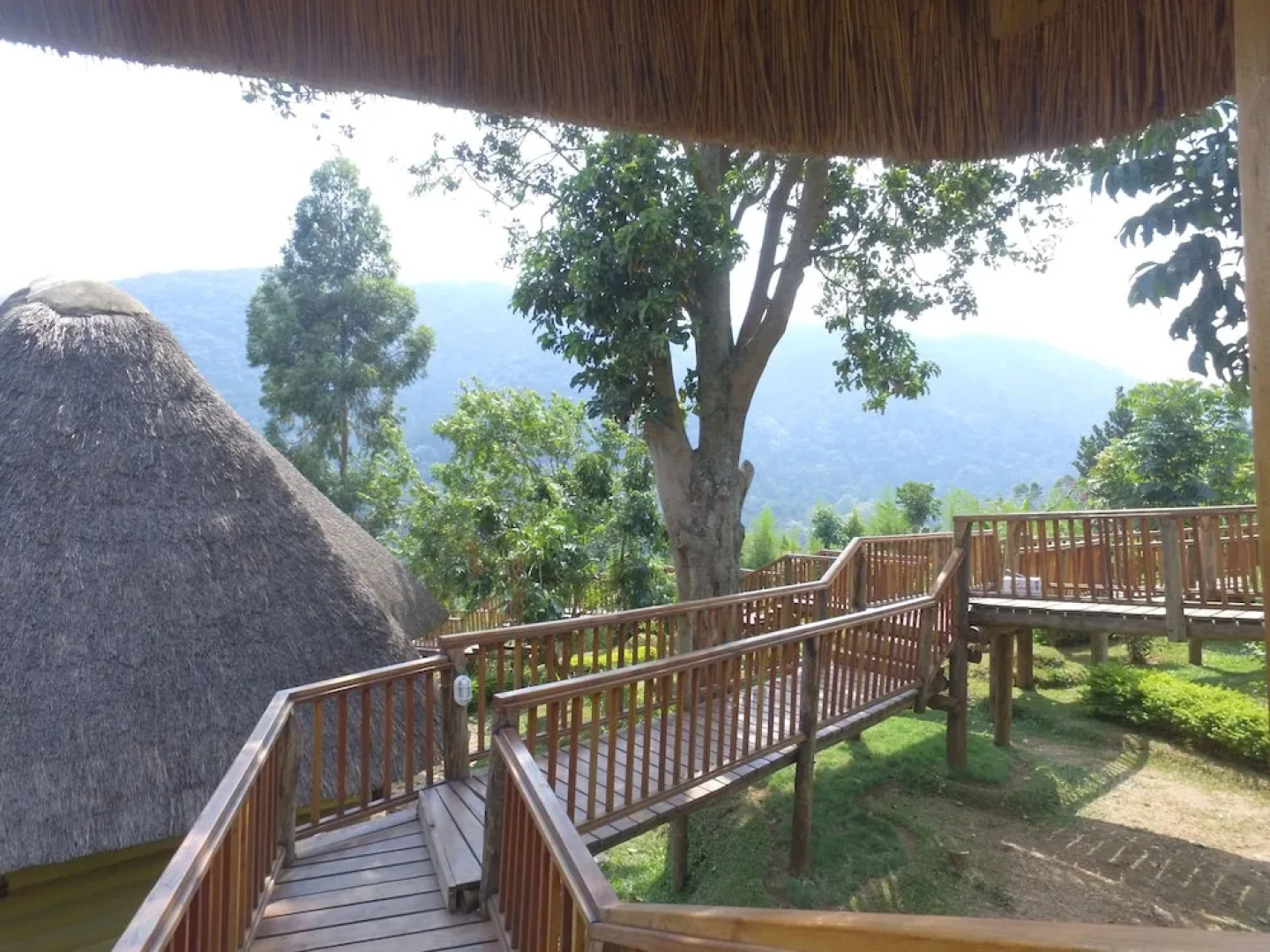 Trackers Safari Lodge Bwindi