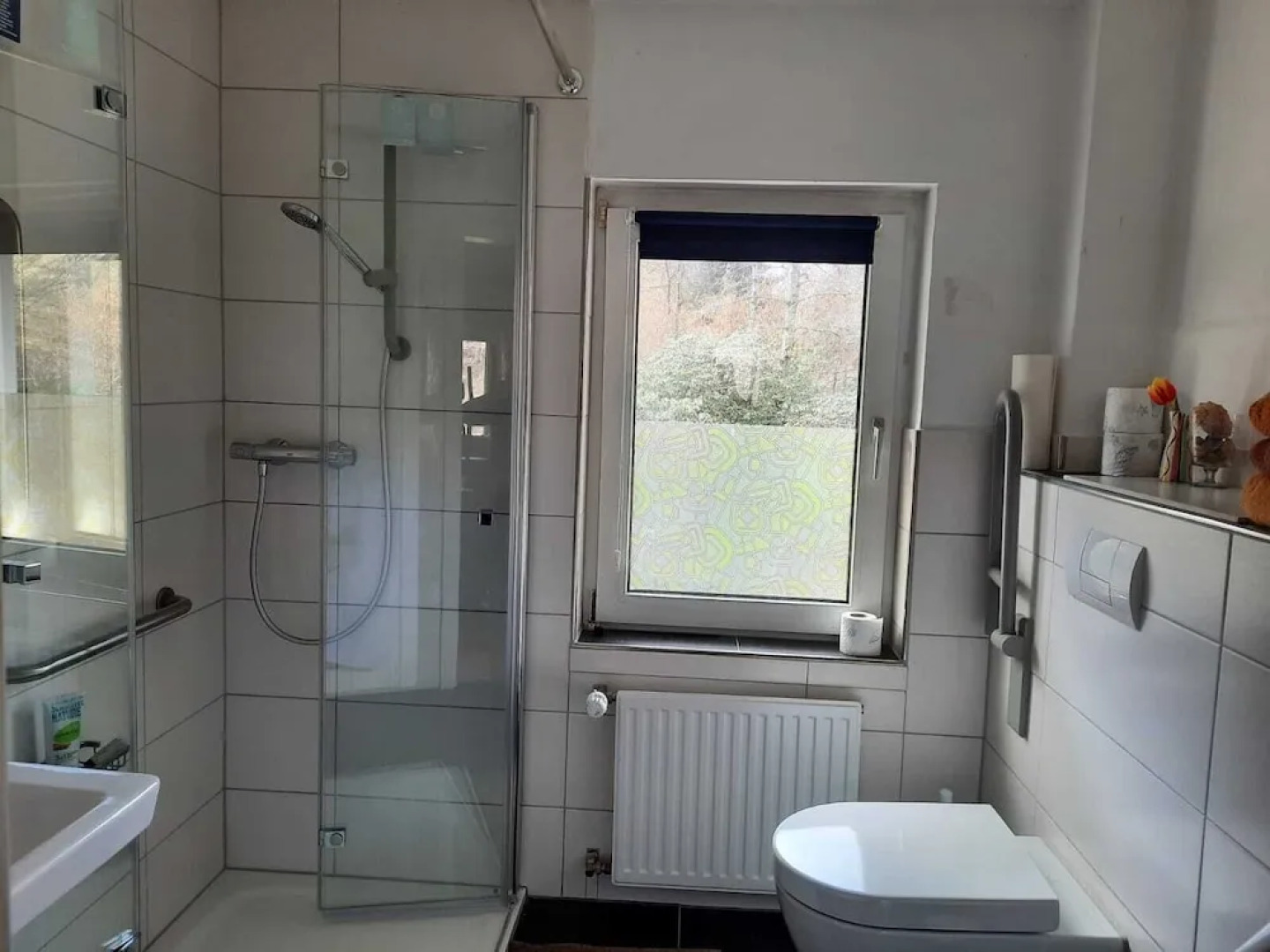 der Englische Garten