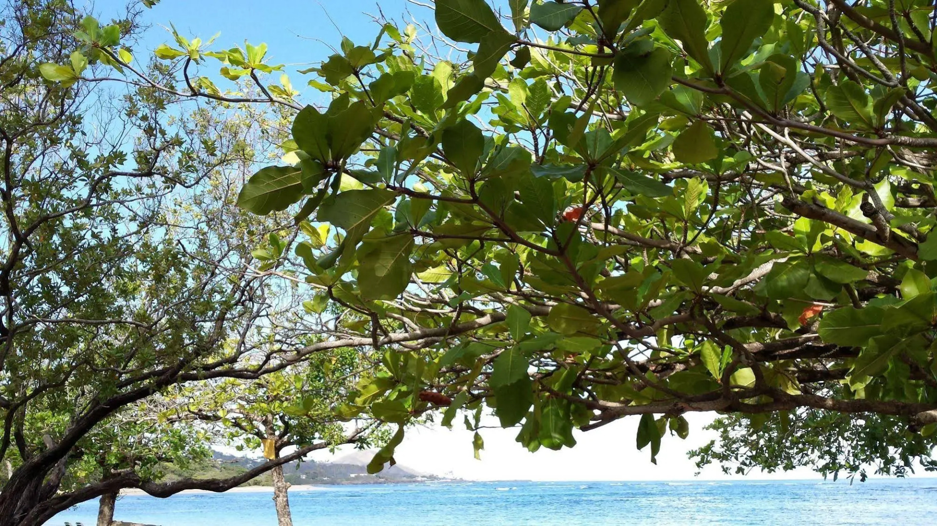 Apartments Costambar