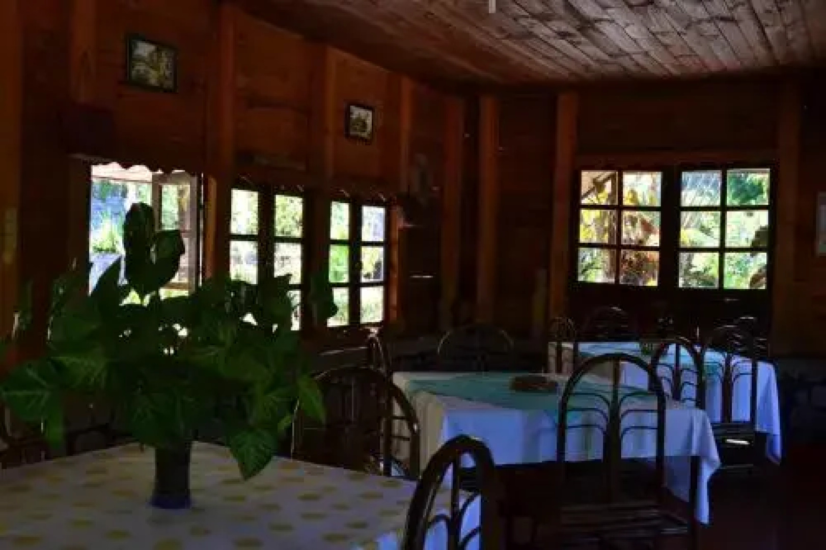 Fôret Austral Ranomafana- Fianarantsoa