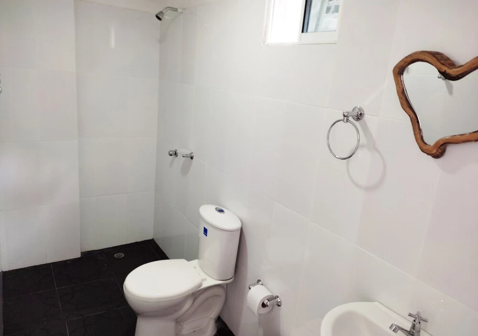Eco Hostal Manakin Tayrona
