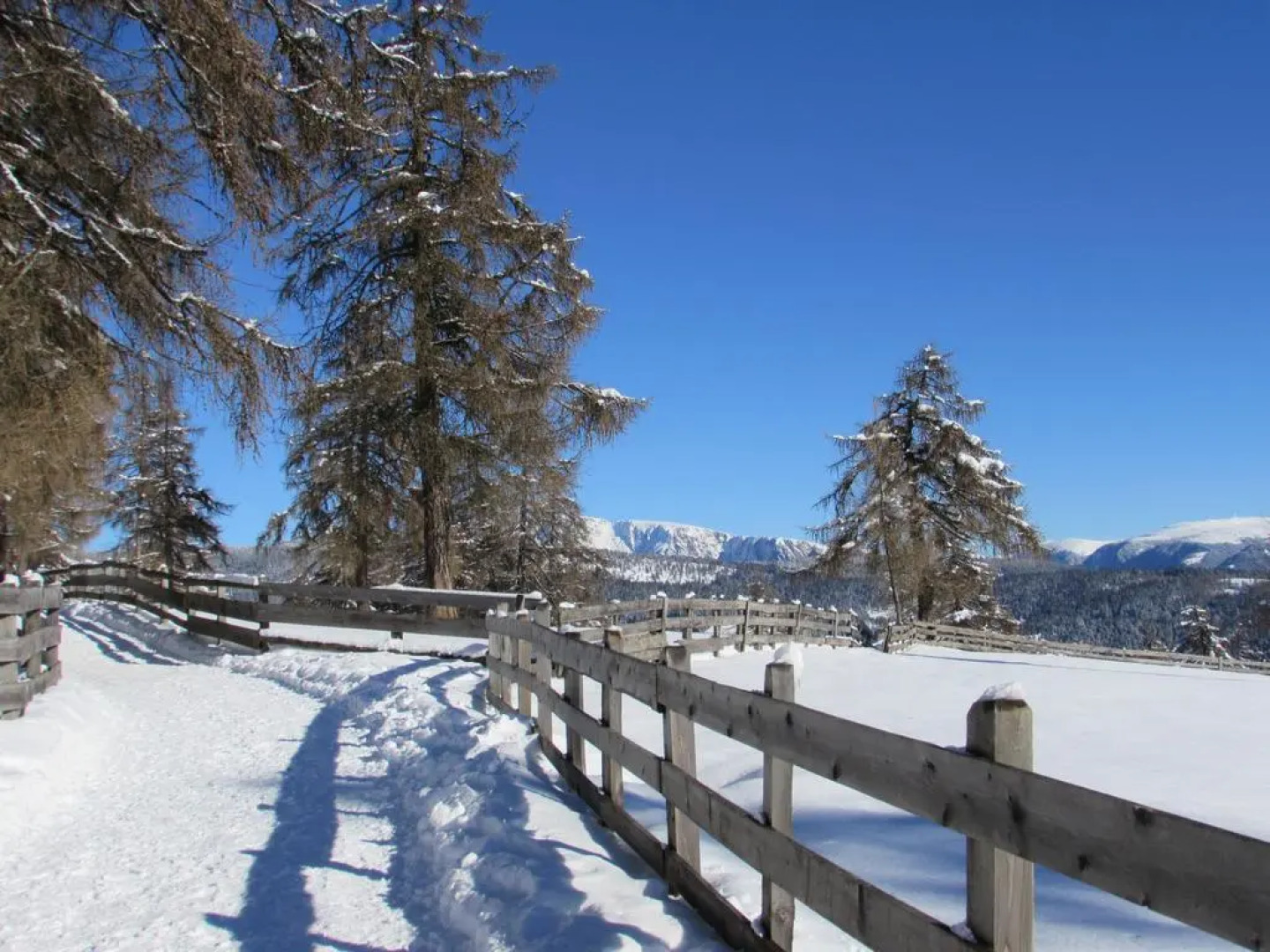 De Prealon Apartment