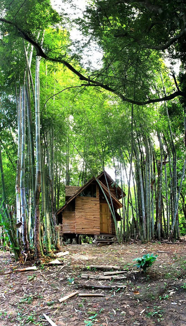 Rabeang Pasak Treehouse Resort