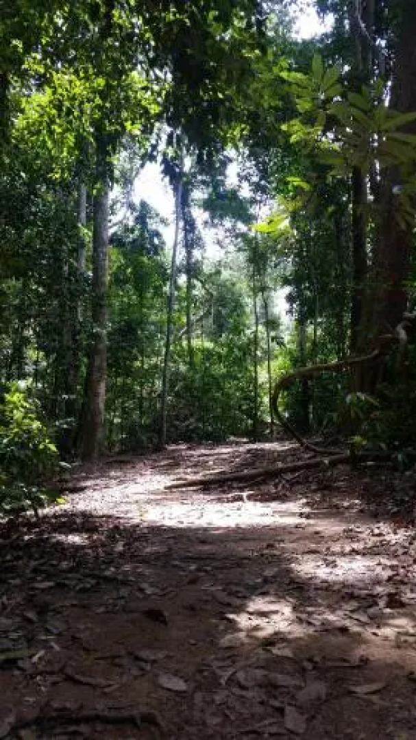 Terimakasih Bar and Guesthouse