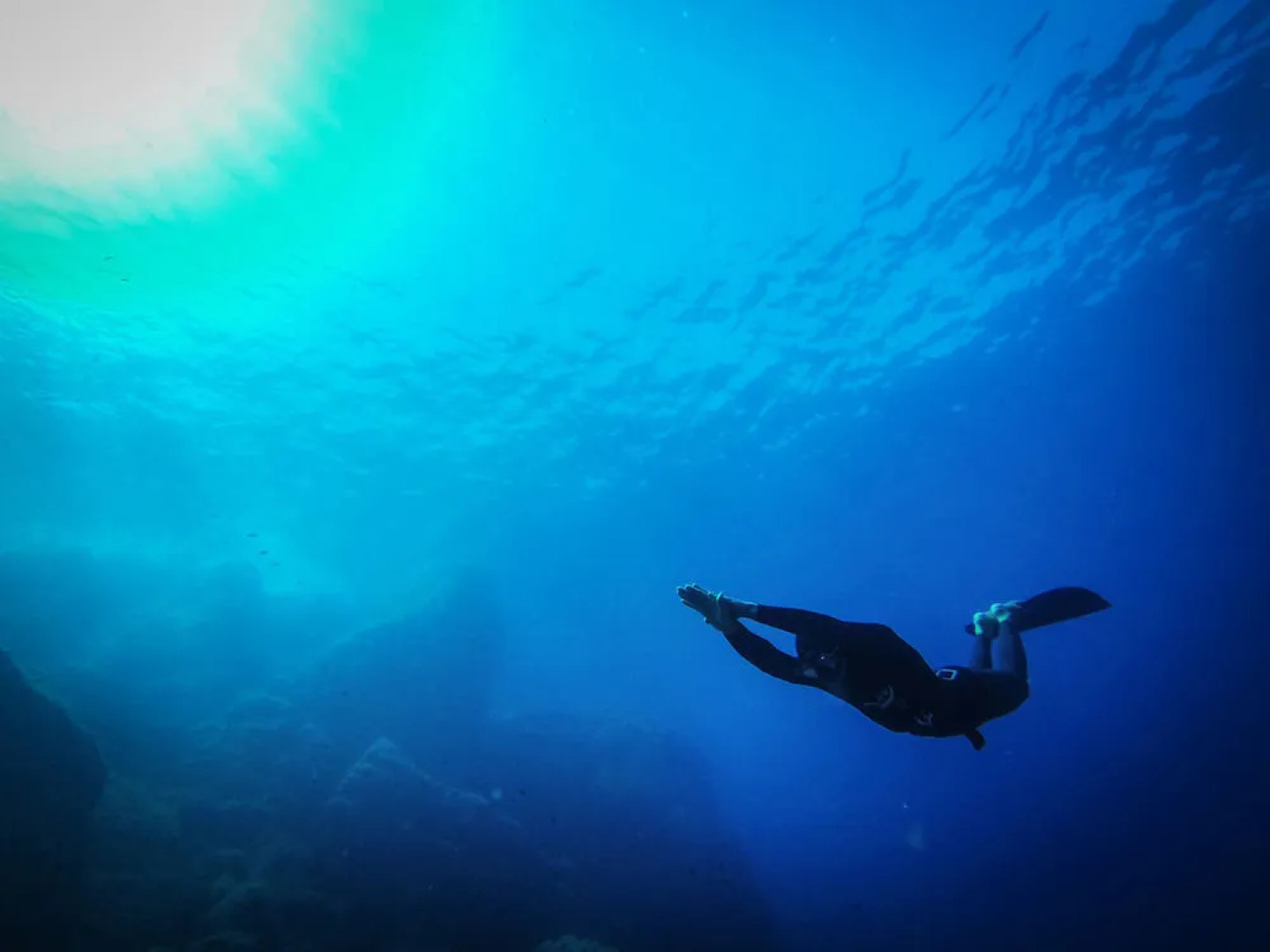 Tenuta Delle Ripalte