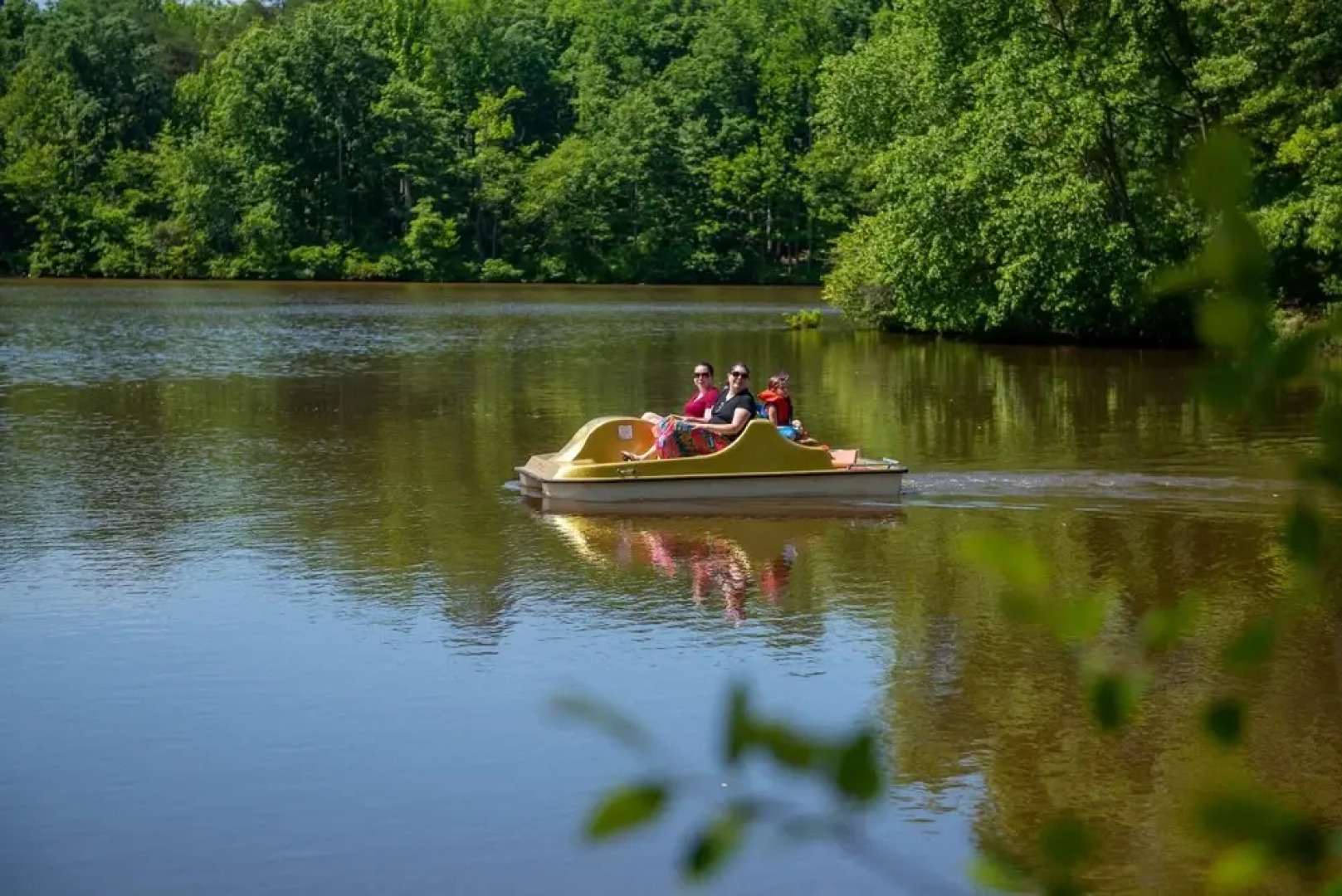 Wilderness Presidential By Tripforth