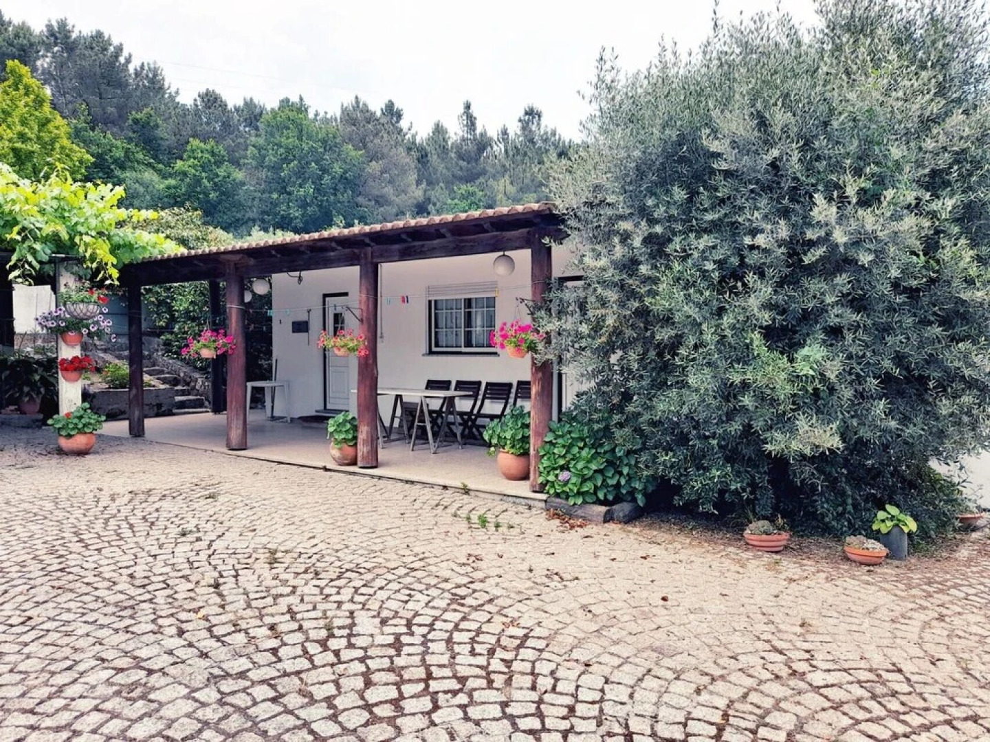 Pet Friendly Barbecue Pool Mystay