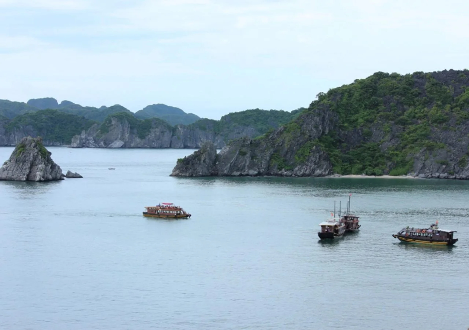 Monkey Island Resort