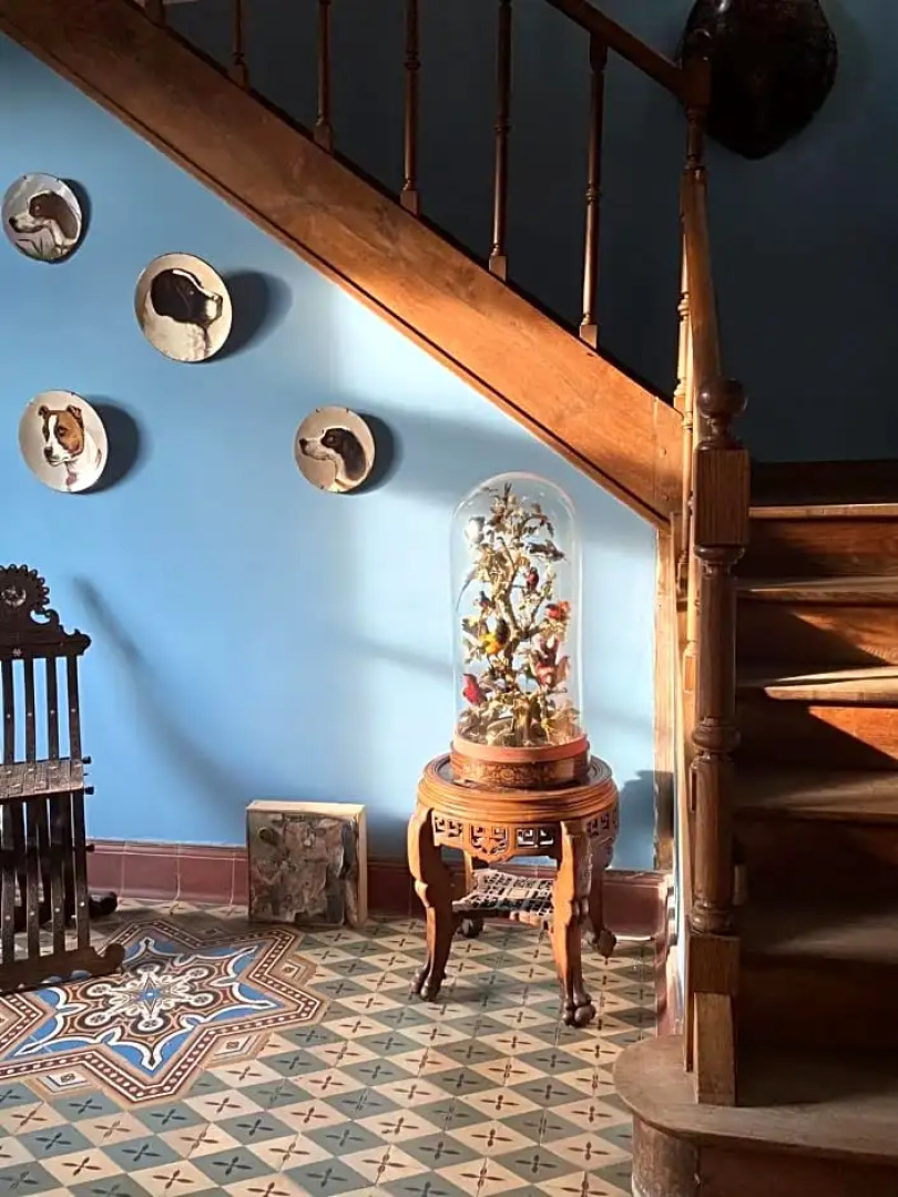 Le Brulon (Adults Only)