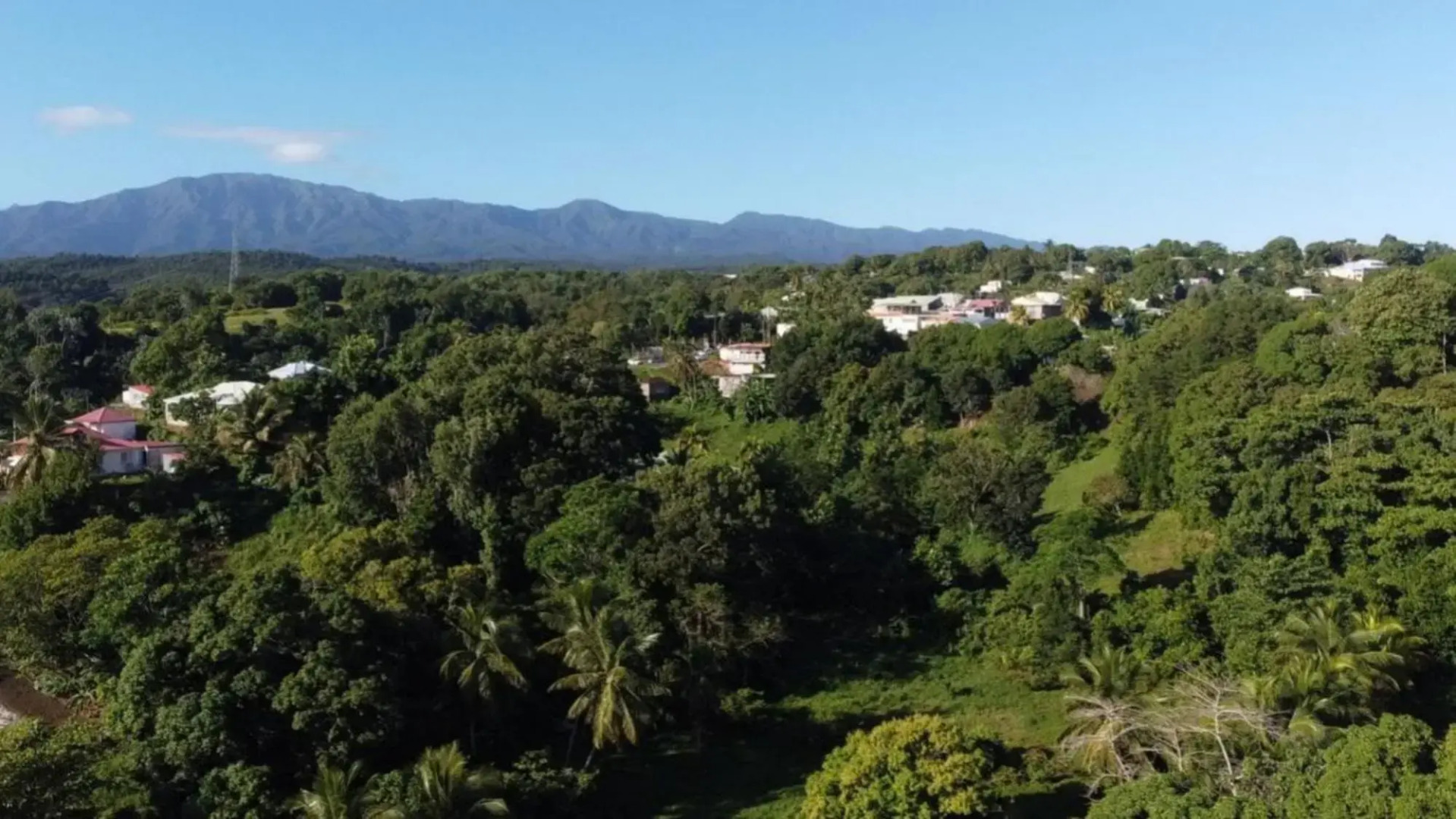 Appartement Camillia, 41m2 et son jardin privatif.