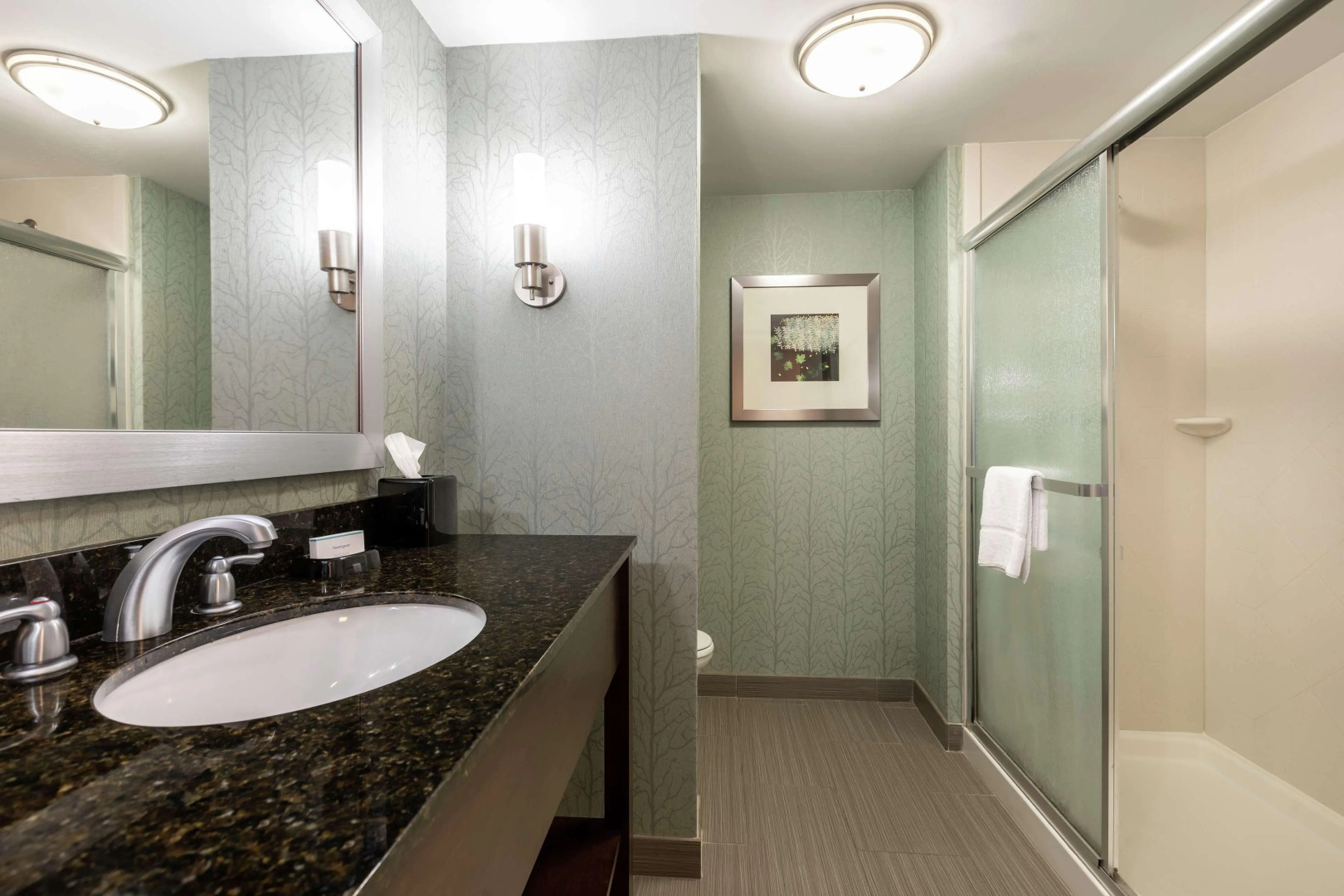 Hampton Inn Anderson/ Alliance Business Park