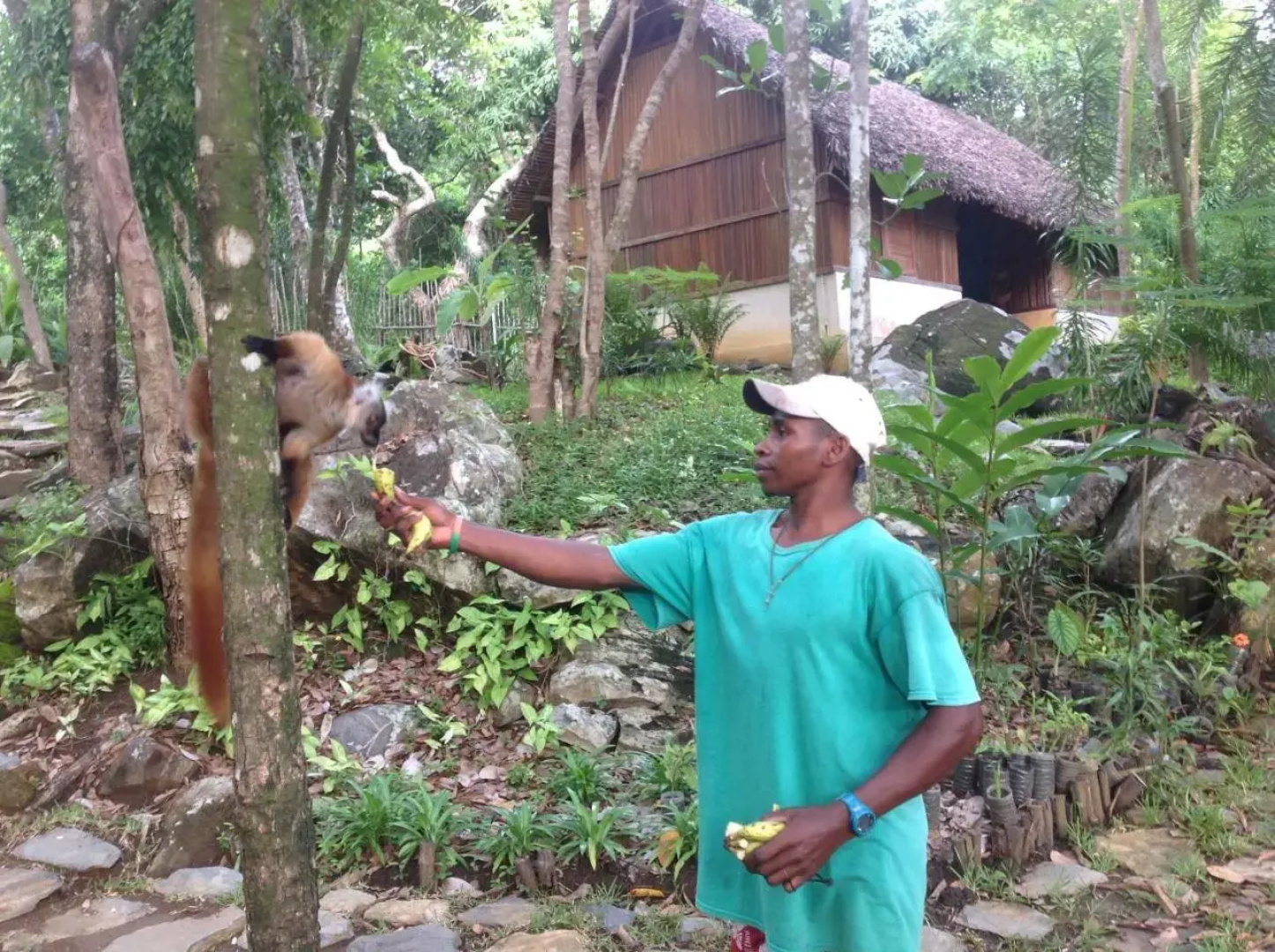 Tsara Komba Lodge