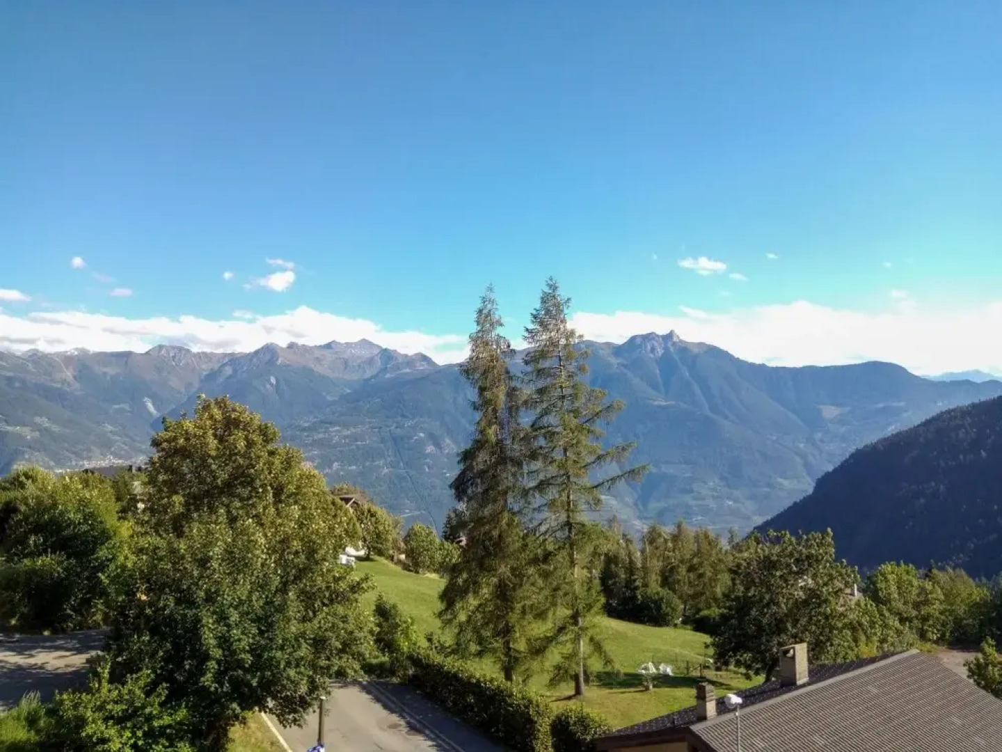 Domino B 48 Leytron in Leytron