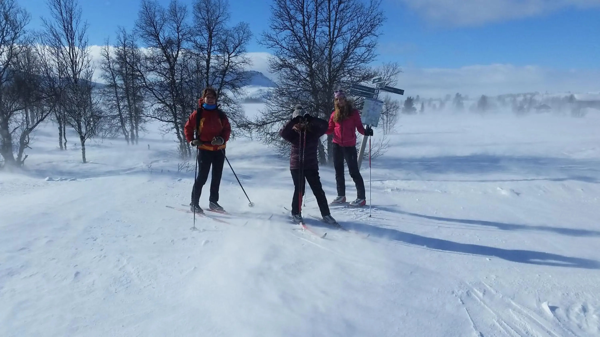 Skjeggestad Gjestehus