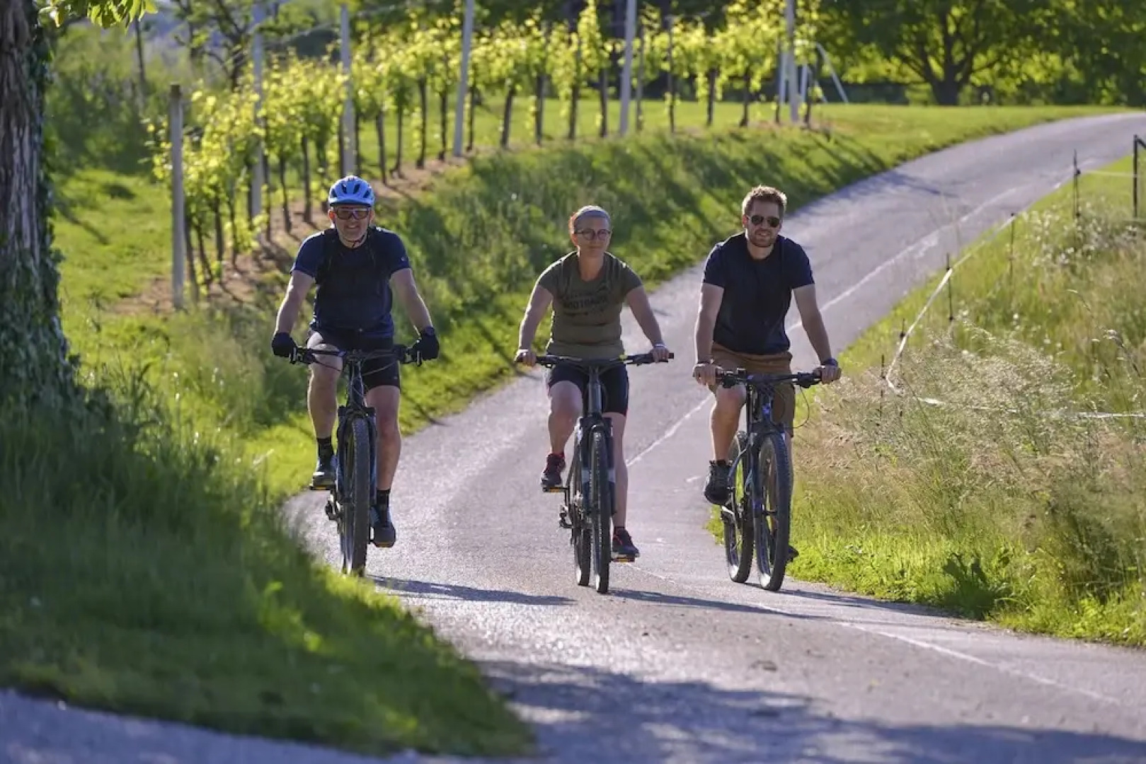 Apartments Vinska Trta