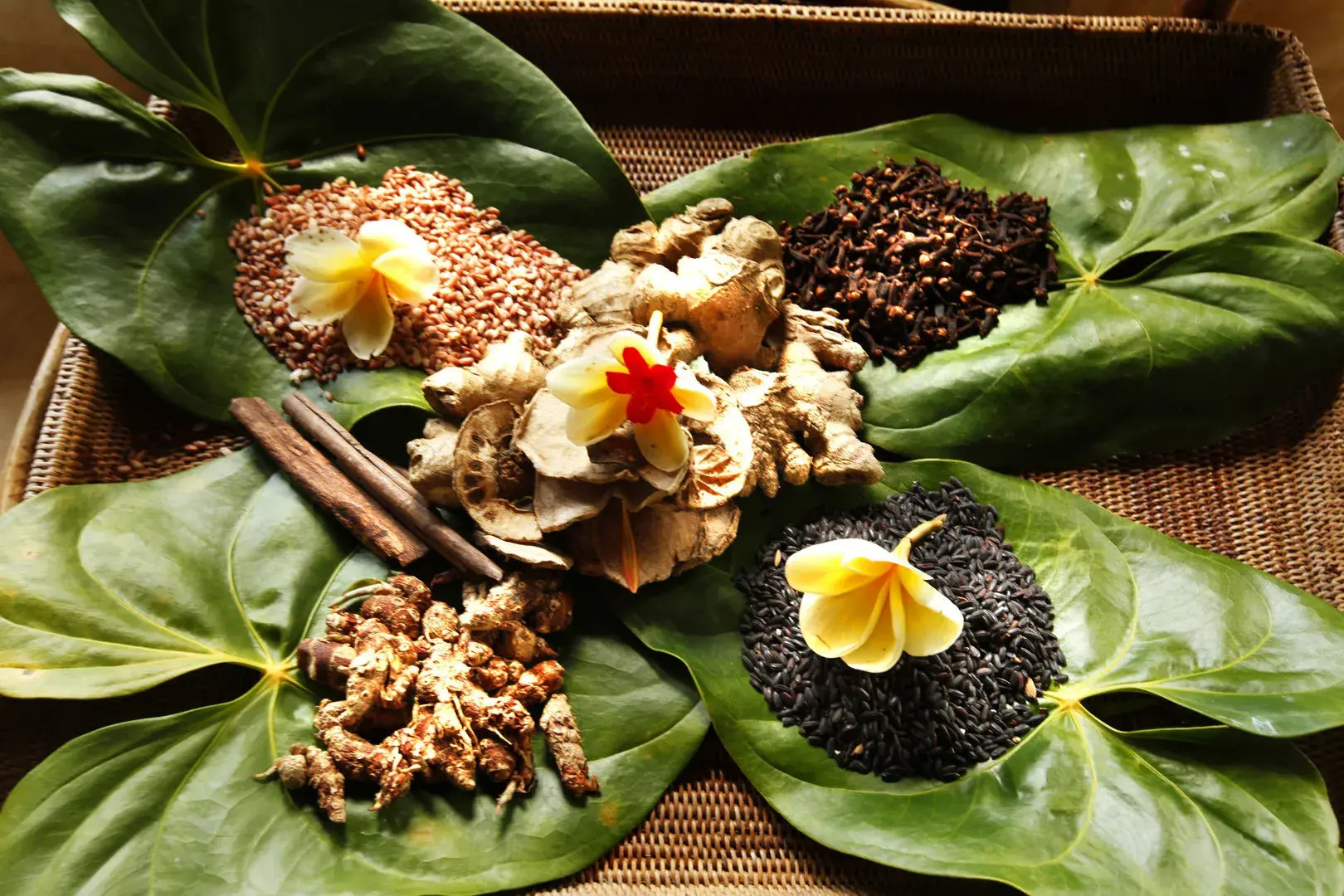 Bagus Jati Health & Well Being Retreat