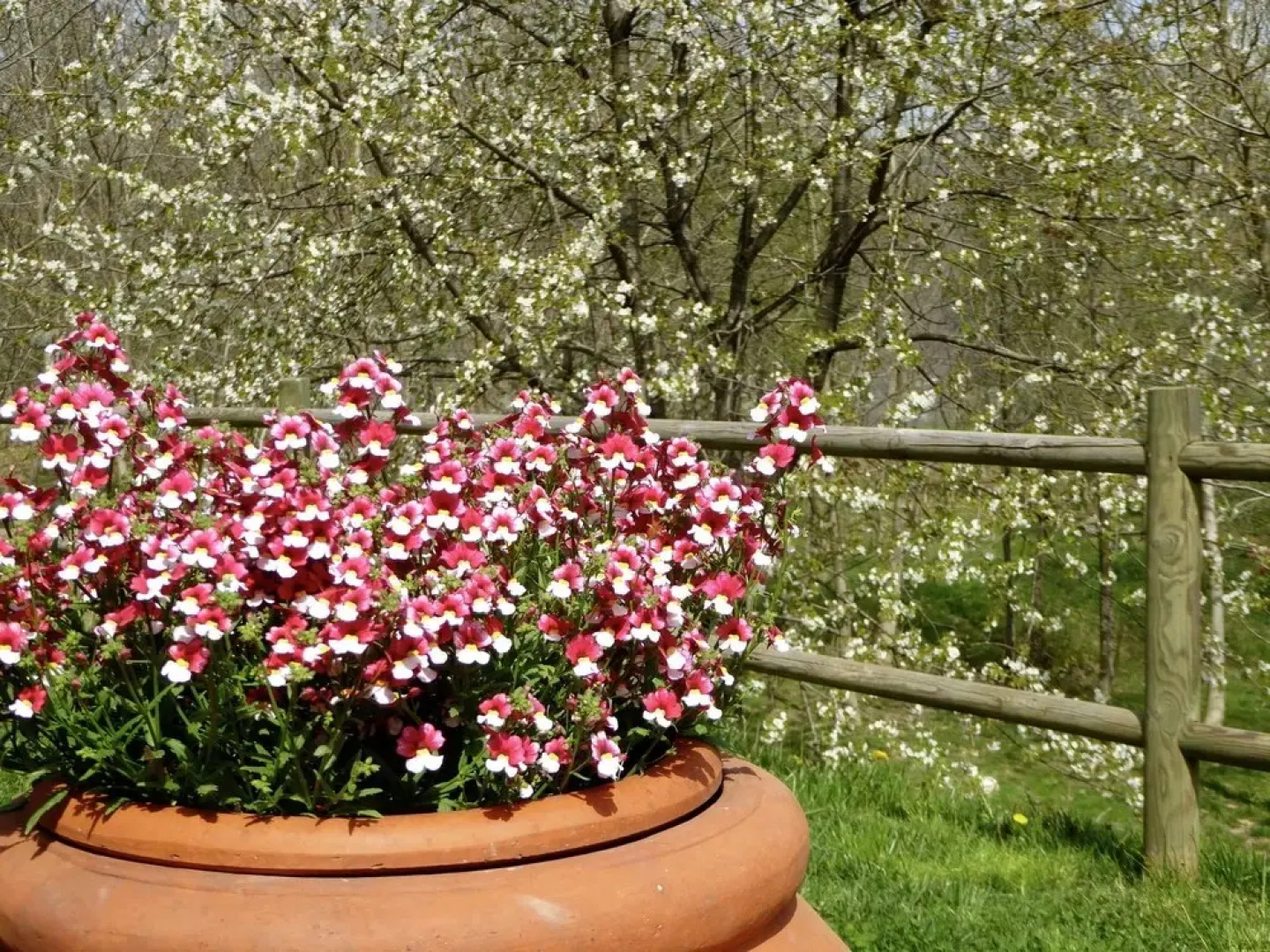 Scenic Home in Camporgiano With Swimming Pool