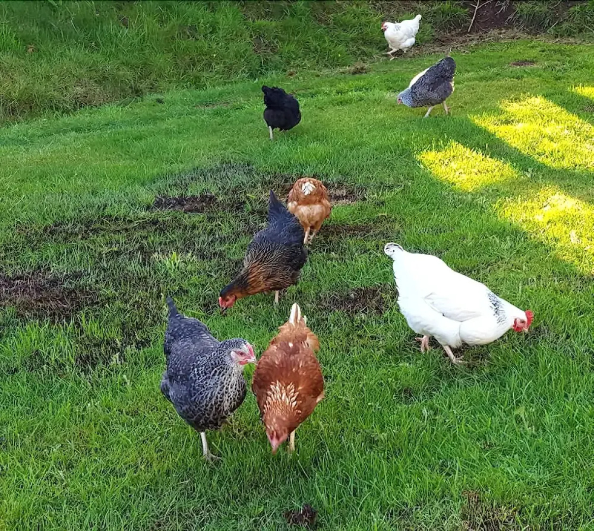 The Old Stables Bed & Breakfast