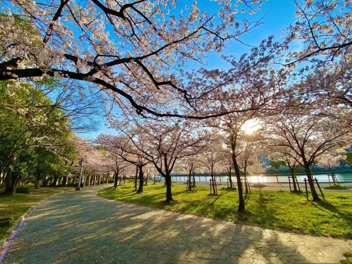 Sakuranomiya Hotel-Self Service